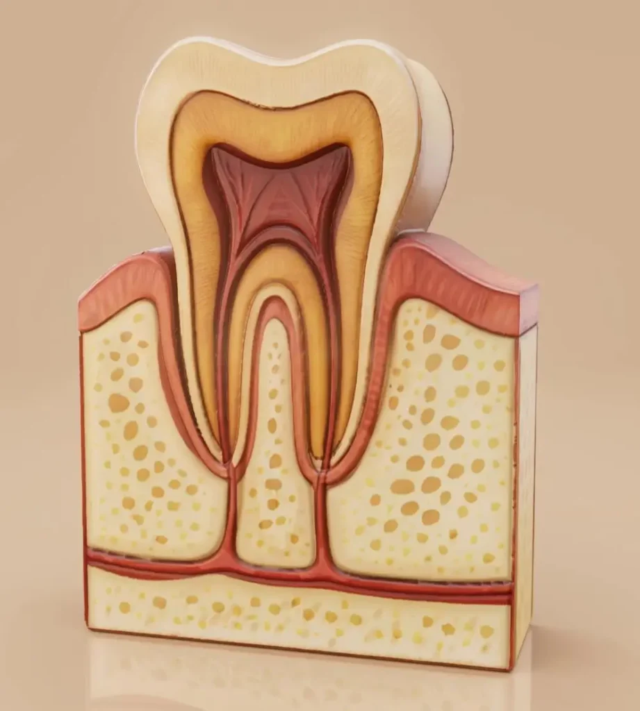 dentiko, tratamente stomatologice